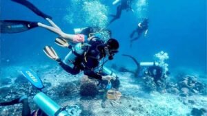 kuta-IMAGES-1600X900 Diving