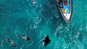 manta-bay5-1600x900